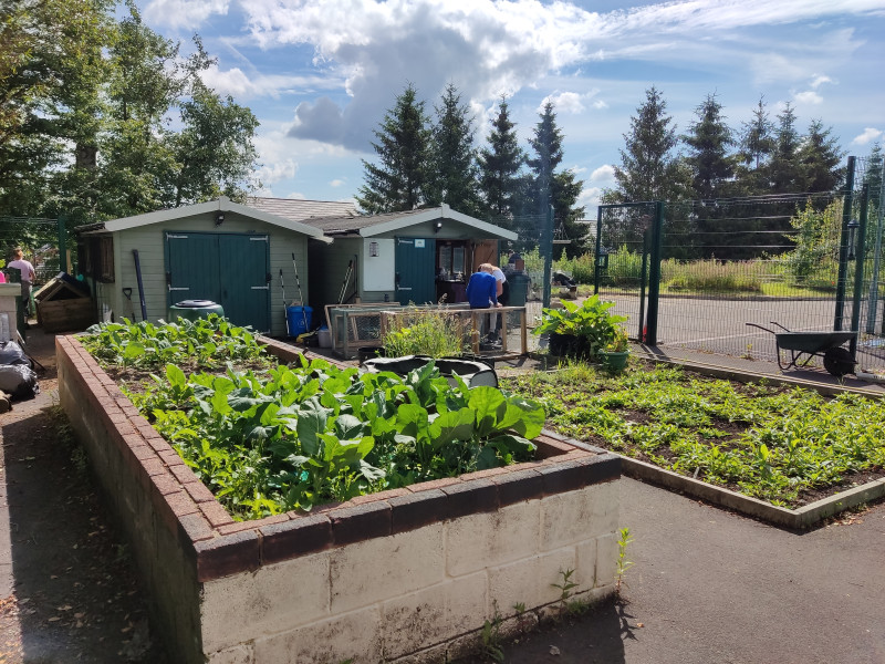 Gardening at Maesgwyn Special School