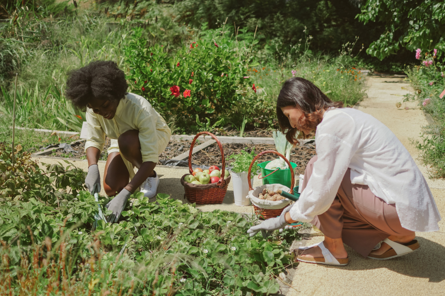 A community allotment project for people suffering with mental health issues.