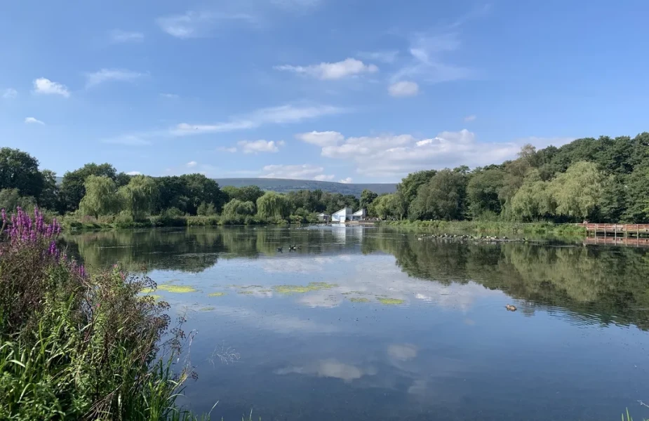 Marauders Men’s Health Walk & Talk - Cwmbran Boating Lake