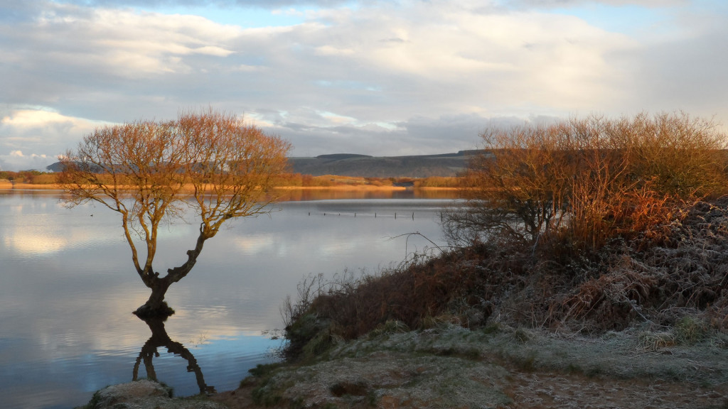 Marauders Men’s Health Walk & Talk - Kenfig Nature Reserve