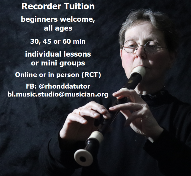 Recorder Sessions for All Ages for Schools, Community Organisations, Charities, etc.