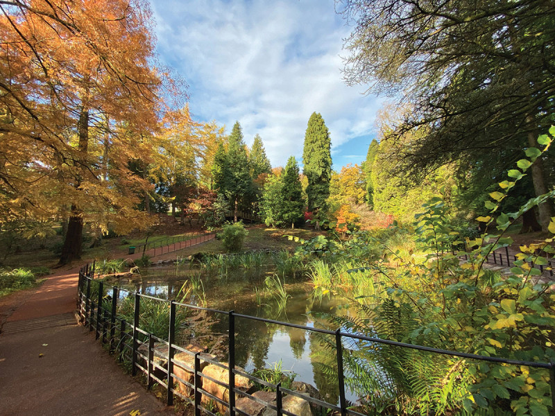 Marauders Men’s Health Walk & Talk - Parc Cefn Onn