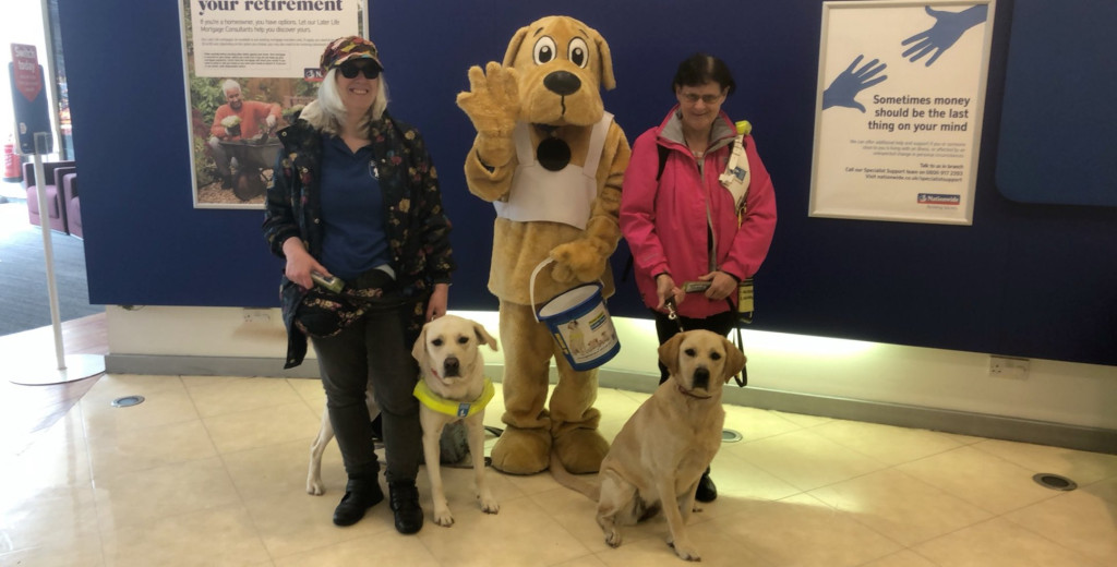 Fundraiser Volunteer